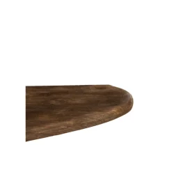 Light en Living Wandplank 49x15x3 cm GINOSU mat donker bruin