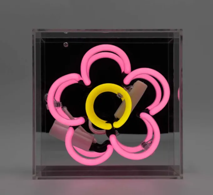 Locomocean Daisy Mini Glas Neon licht