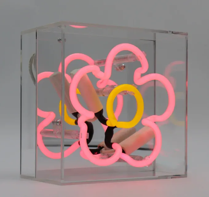 Locomocean Daisy Mini Glas Neon licht