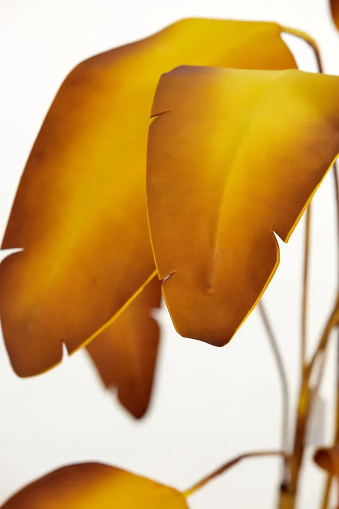 Parlane Ornament in pot Strelitzia Goud-Bruin+Zwart - 110 cm