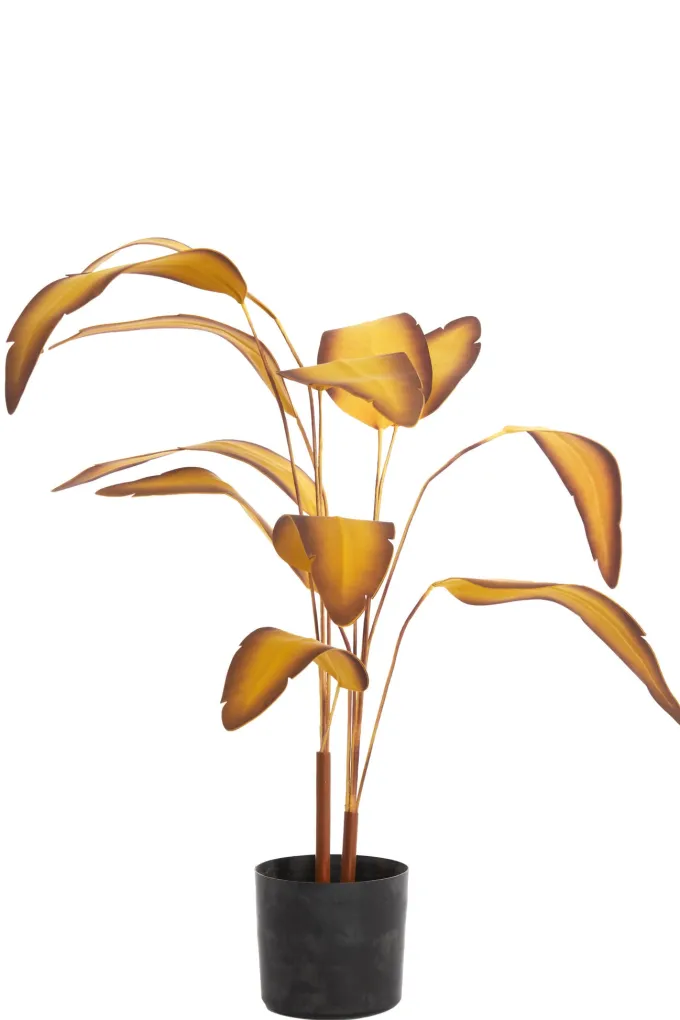 Parlane Ornament in pot Strelitzia Goud-Bruin+Zwart - 110 cm