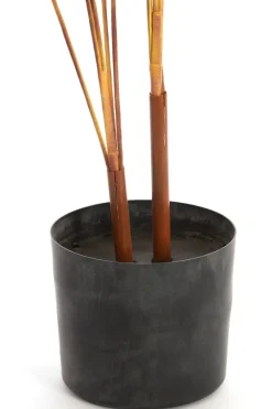 Parlane Ornament in pot Strelitzia Goud-Bruin+Zwart - 110 cm