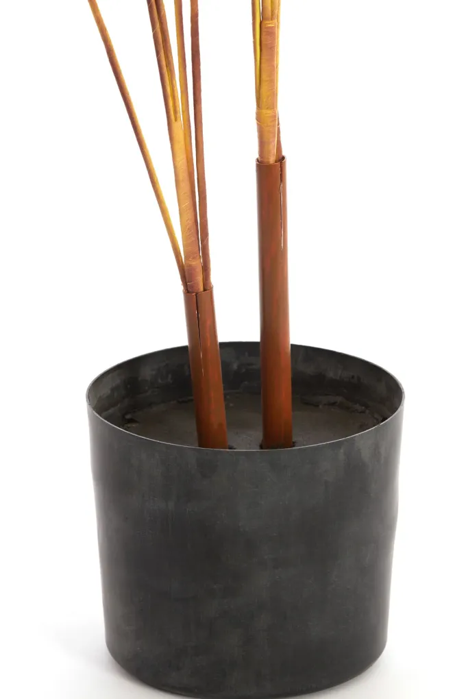 Parlane Ornament in pot Strelitzia Goud-Bruin+Zwart - 110 cm