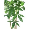 PTMD Geldboom in zwarte plastic pot