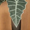PTMD Kunsttak Groen Alocasia bladeren