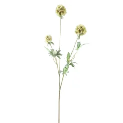 PTMD Kunsttak Groen Scabiosa