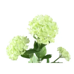 PTMD Kunsttak Hydrangea Flower groen snowball