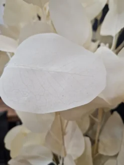 PTMD Kunsttak Leaves Plant eucalyptus creme