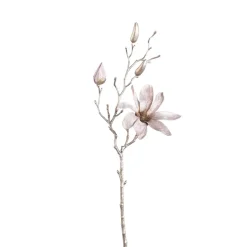 PTMD Kunsttak Magnolia Champagne fluweelachtige tros