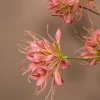 PTMD Kunsttak Pink Spider