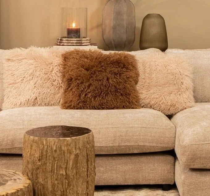 PTMD Kussen Rexx Beige rechthoekig