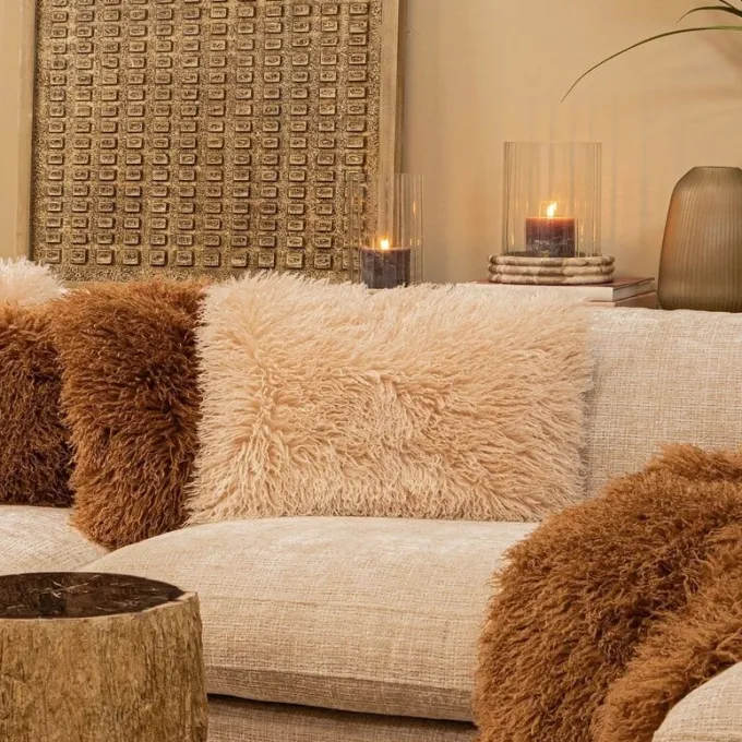 PTMD Kussen Rexx Beige rechthoekig
