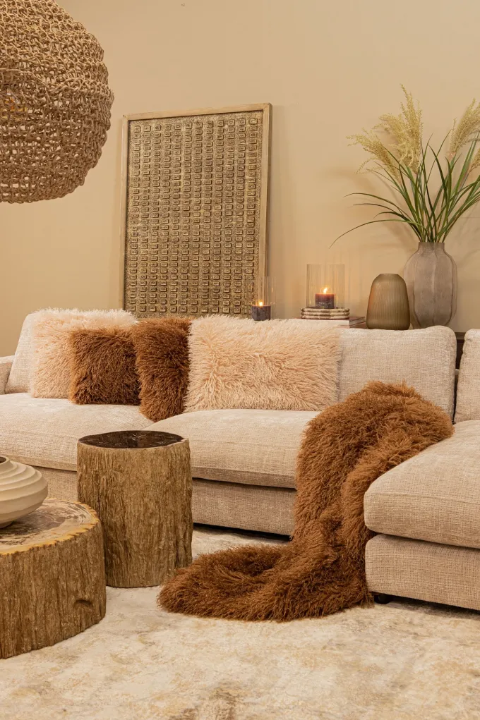 PTMD Kussen Rexx Beige rechthoekig