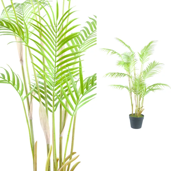 PTMD Palmboom groen in zwarte plastic pot - 148 cm hoog