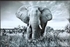 PTMD Schilderij Melani Glass Art Olifant Groot - Glaskunst