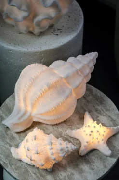 PTMD Tafellamp Graeme Wit Zeester sea star shaped LED lamp S