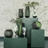 PTMD Vaas Naima Sage glas organisch type A