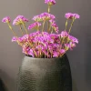 Pure Kunsttak Limonium 70 cm lavendel