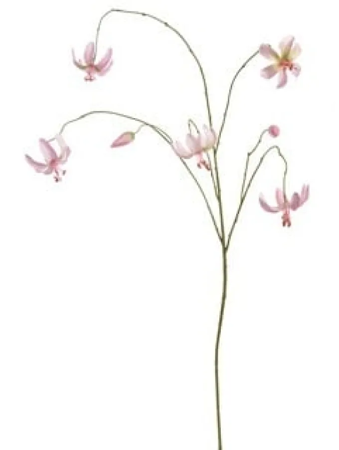 Pure Kunsttak Martagon Lelie 100 cm roze