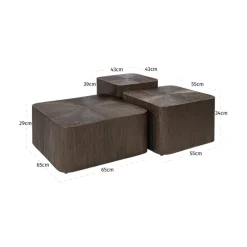 Richmond Interiors Salontafel Cubes Brunzae - Set van 3