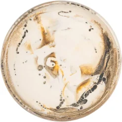 Richmond Interiors Schaal Daisy beige