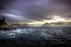 Wandkraft Art of Nature 018