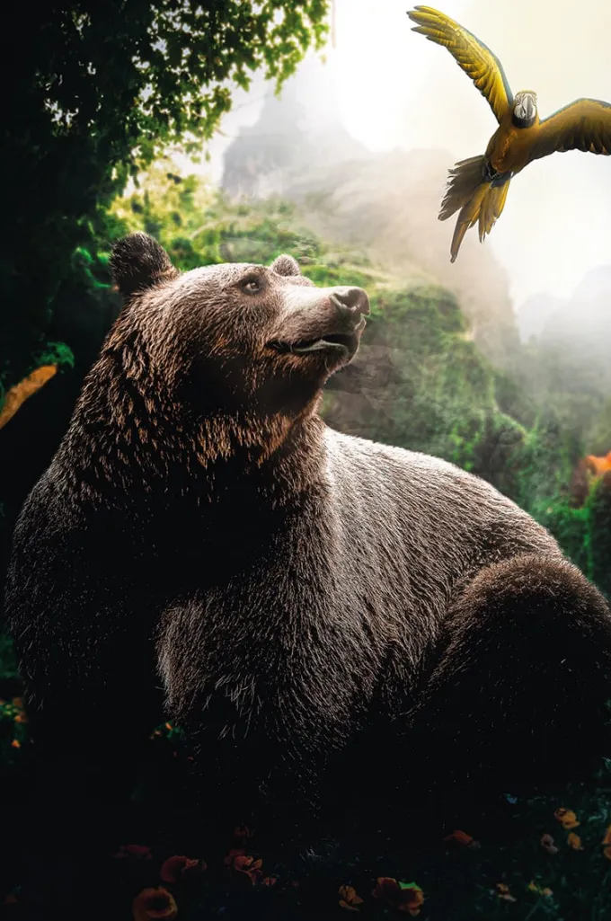Wandkraft Bear