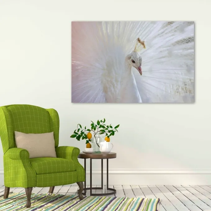 Wandkraft Bright Wings 031