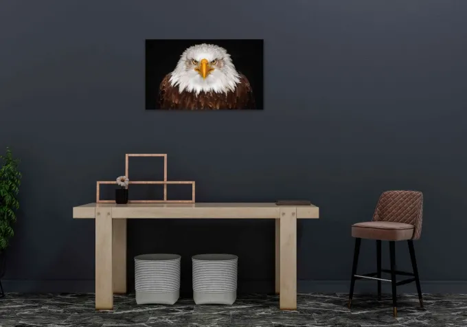 Wandkraft Bright Wings 015