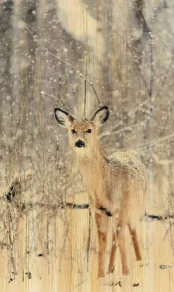 Wandkraft European Wildlife 007
