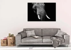 Wandkraft Faces 023 - Faces 74 x 74 cm