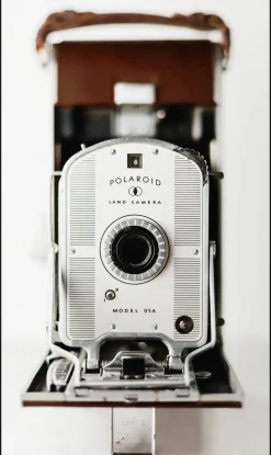 Wandkraft Heritage 003