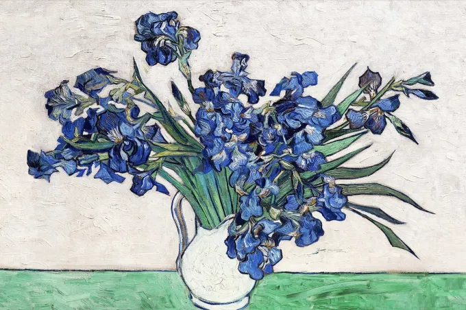 Wandkraft Irises by Vincent van Gogh