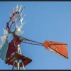 Wandkraft Summer Time 018