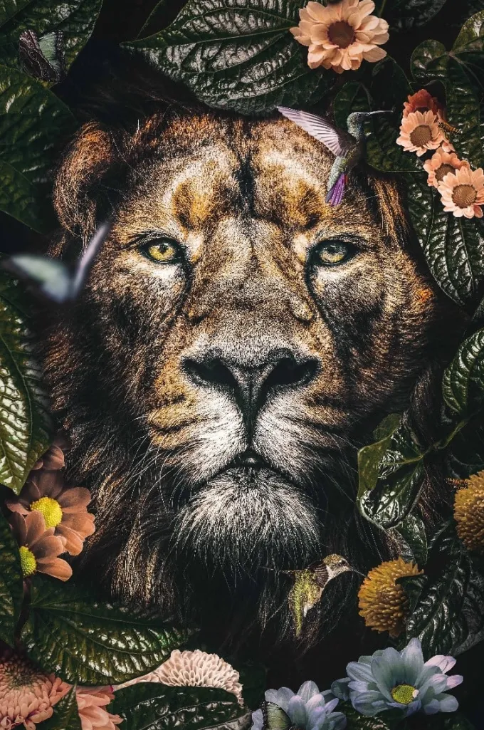 Wandkraft The Lion