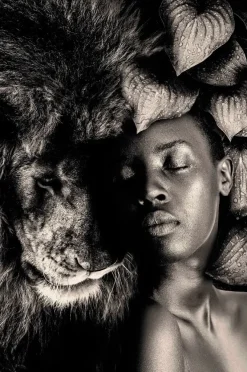 Wandkraft The Woman and Lion
