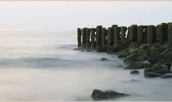 Wandkraft Travel Stories 021