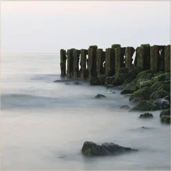 Wandkraft Travel Stories 021
