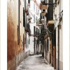 Wandkraft Travel Stories 020