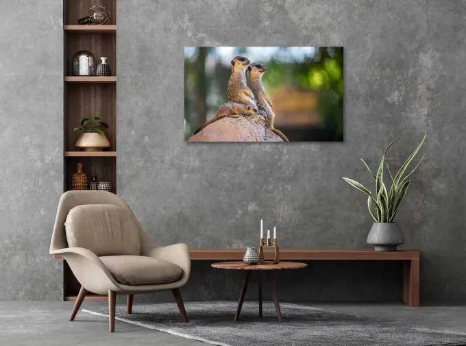 Wandkraft Wildlife 017