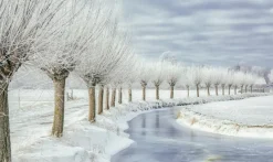 Wandkraft Winter in Holland
