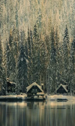 Wandkraft Winter Wonders 001