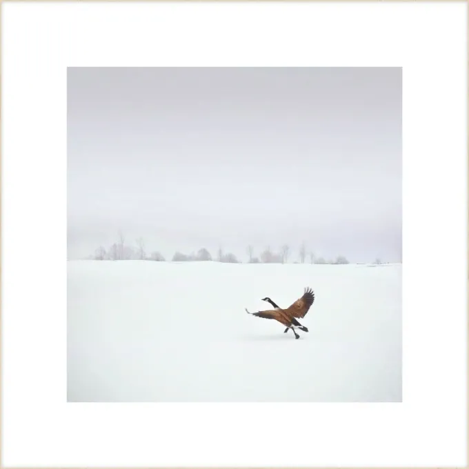 Wandkraft Winter Wonders 000