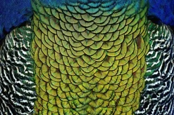 Wandkraft Wonderful Life 011