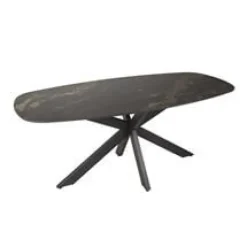 WoonStijl Eetkamertafel spider deens ovaal 180