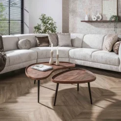 WoonStijl Salontafel Carve organisch set van 2