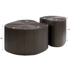 WoonStijl Salontafel Maya Ray niervormig set van 2