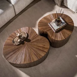 WoonStijl Salontafel Maya Teak niervormig set van 2 teak