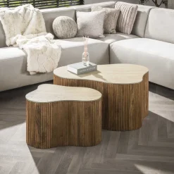WoonStijl Salontafel Nuovo shamrock set van 2 / Massief mango zand