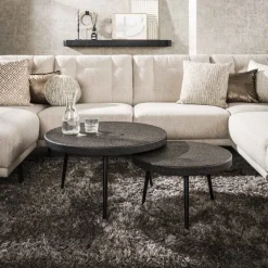 WoonStijl Salontafel set/2 bulky ferro